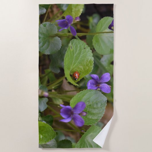 Ladybug über süße Violettsorten-Blume Strandtuch (Vorderseite)