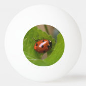 Ladybug über süße Violettsorten-Blume Tischtennisball (Rückseite)