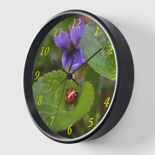 Ladybug über süße Violettsorten-Blume Uhr (Winkel)