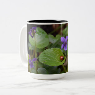 Ladybug über süße Violettsorten-Blume Zweifarbige Tasse