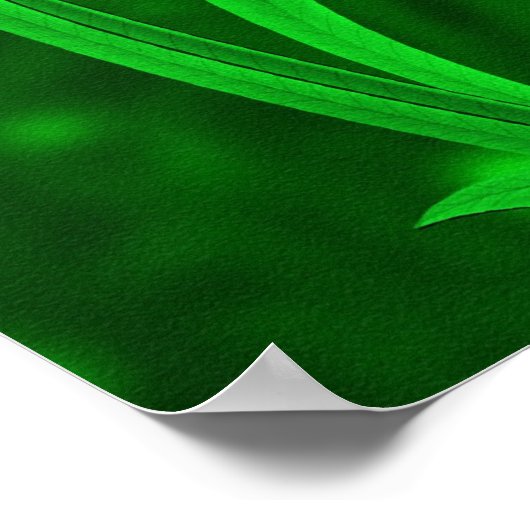 Ladybug und Chameleon Poster (Ecke)