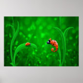 Ladybug und Chameleon Poster (Vorne)