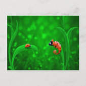 Ladybug und Chameleon Postkarte (Vorderseite)
