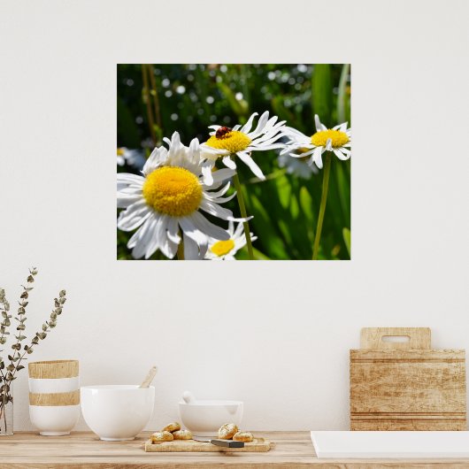 Ladybug und Daisies Poster (Küche)