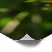 Ladybug und Daisies Poster (Ecke)