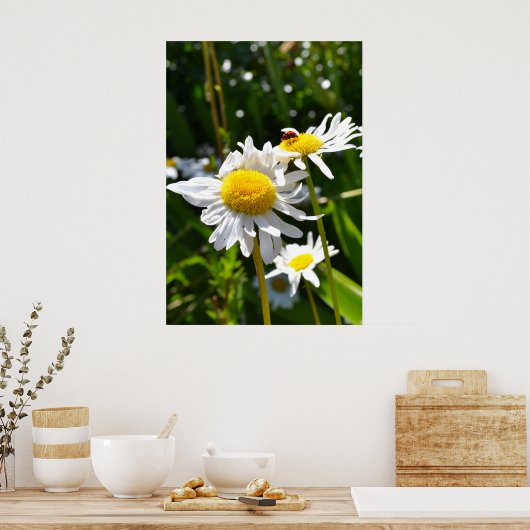 Ladybug und Daisies Poster (Küche)