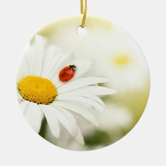 Ladybug und Daisy Keramik Ornament (Vorne)