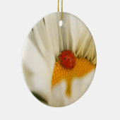 Ladybug und Daisy Ornament (Rechts)