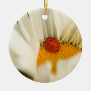 Ladybug und Daisy Ornament