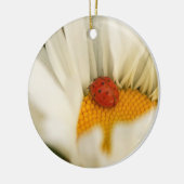 Ladybug und Daisy Ornament (Links)