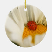 Ladybug und Daisy Ornament (Hinten)