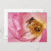 Ladybug und Fliegen auf einer Knock-Out-Rose Postkarte (Vorne/Hinten)