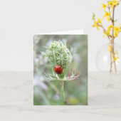 Ladybug und Wildblume - Blankokarte Karte (Gelbe Blume)