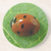 Ladybug Untersetzer (Vorne)
