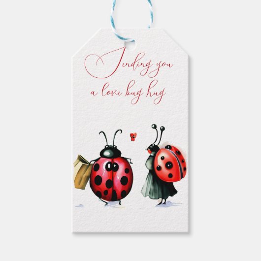 Ladybug Valentine's Day Card Geschenkanhänger (Vorderseite)
