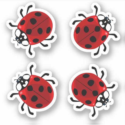 Ladybug Vinyl Stickers Aufkleber (Vorderseite)