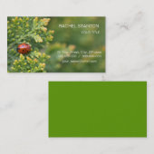 Ladybug Visitenkarte (Vorne/Hinten)