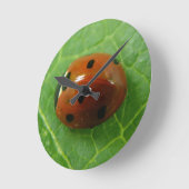 Ladybug Wallclock Runde Wanduhr (Winkel)