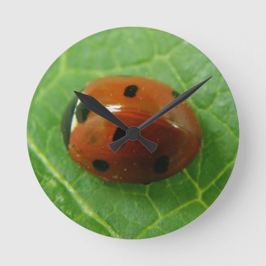 Ladybug Wallclock Runde Wanduhr (Vorderseite)