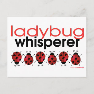 Ladybug Whisperer Postkarte