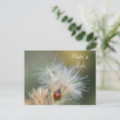 Ladybug Wish Postcard Postkarte (Stehend Vorderseite)