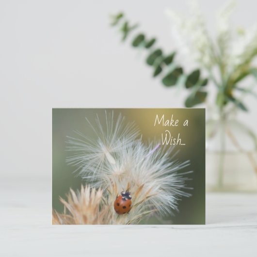 Ladybug Wish Postcard Postkarte (Stehend Vorderseite)