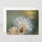 Ladybug Wish Postcard Postkarte (Vorne/Hinten)
