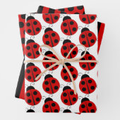 Ladybug Wrapping Paper Set Geschenkpapier Set (Beispiel)