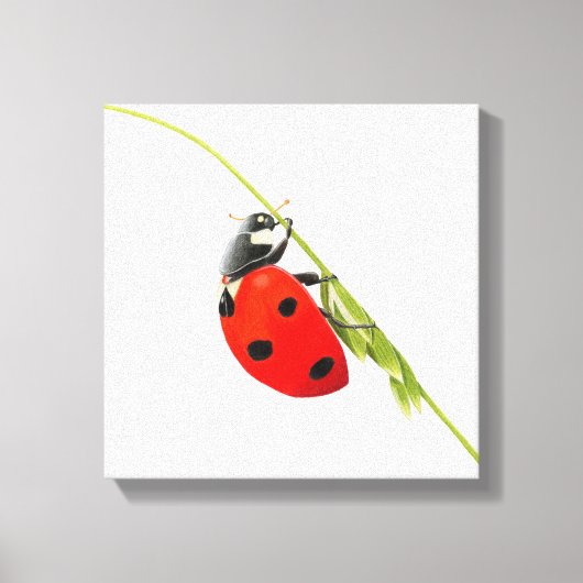 Ladybug zeichnend leinwanddruck (Vorderseite)