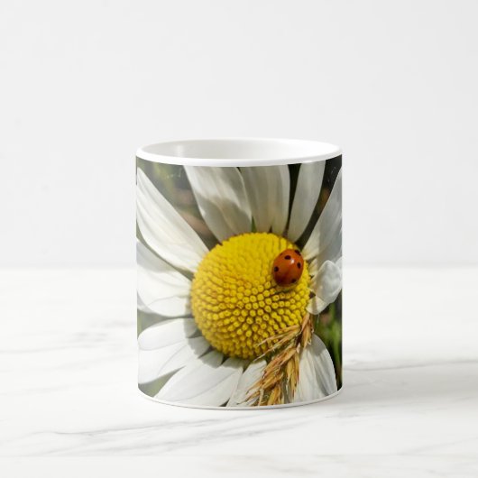 Ladybug zu Daisy Kaffeetasse (Mittel)