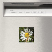 Ladybug zu Daisy Magnet (In Situ (Geschirrspüler))