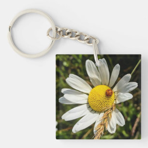 Ladybug zu Daisy Schlüsselanhänger