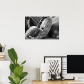 Ladybug zu Milkweed Poster (Heimbüro)