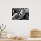 Ladybug zu Milkweed Poster (Küche)