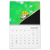 Ladybugs [1] Mauerkalender Kalender (Jan 2027)