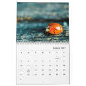 Ladybugs [2] Wall Calendar Kalender (Jan 2027)