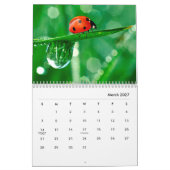Ladybugs [2] Wall Calendar Kalender (Mär 2027)