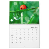Ladybugs [2] Wall Calendar Kalender (Mär 2026)