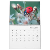 Ladybugs [2] Wall Calendar Kalender (Feb 2026)