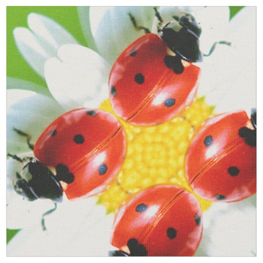 Ladybugs Art. 1 Stoff (Nahaufnahme)