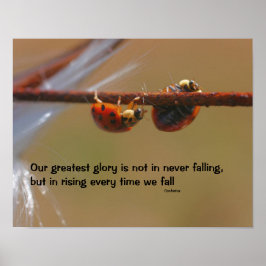 Ladybugs Attitude Inspiration Konfuzius Zitat Poster