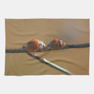 Ladybugs auf einen Drahtzaun zu küssen, Nah Geschirrtuch