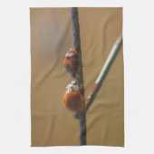 Ladybugs auf einen Drahtzaun zu küssen, Nah Geschirrtuch (Vertikal)