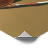 Ladybugs auf einen Drahtzaun zu küssen, Nah Poster (Ecke)