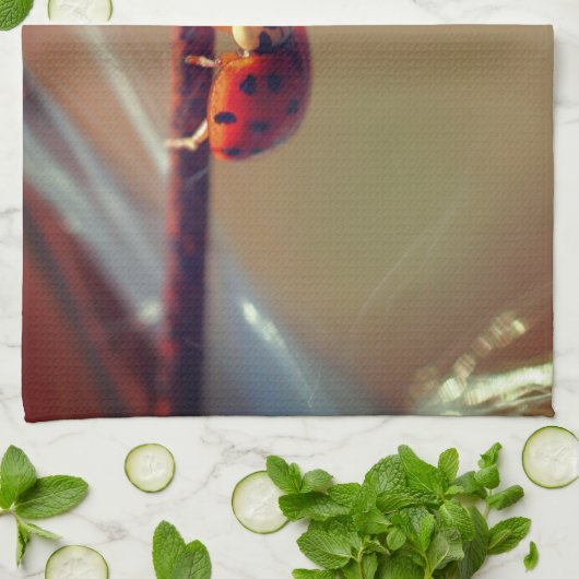 Ladybugs Balancing Nah Up  Geschirrtuch (Gefaltet)