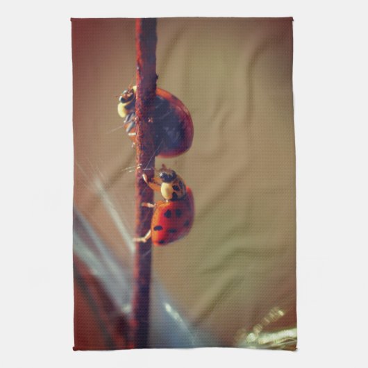 Ladybugs Balancing Nah Up Geschirrtuch (Vertikal)
