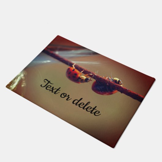 Ladybugs Balancing Nah Up Personalisiert Fußmatte (Schrägansicht)