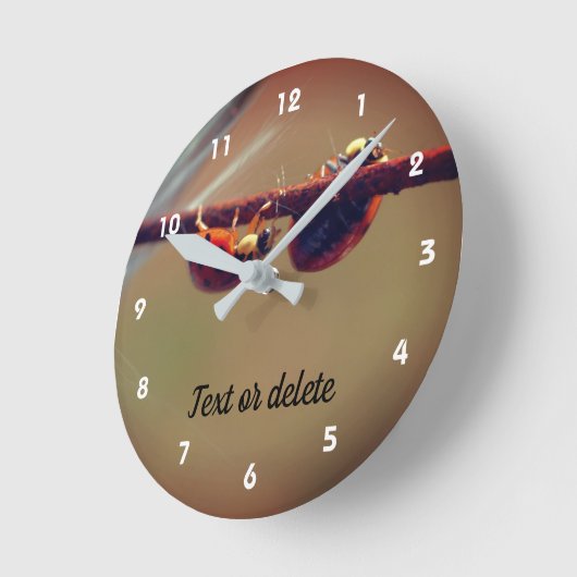 Ladybugs Balancing Nah Up Personalisiert Runde Wanduhr (Winkel)