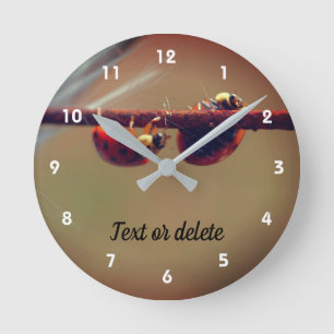 Ladybugs Balancing Nah Up Personalisiert Runde Wanduhr