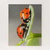 Ladybugs Beetles Jigsaw Puzzle (Vertikal)